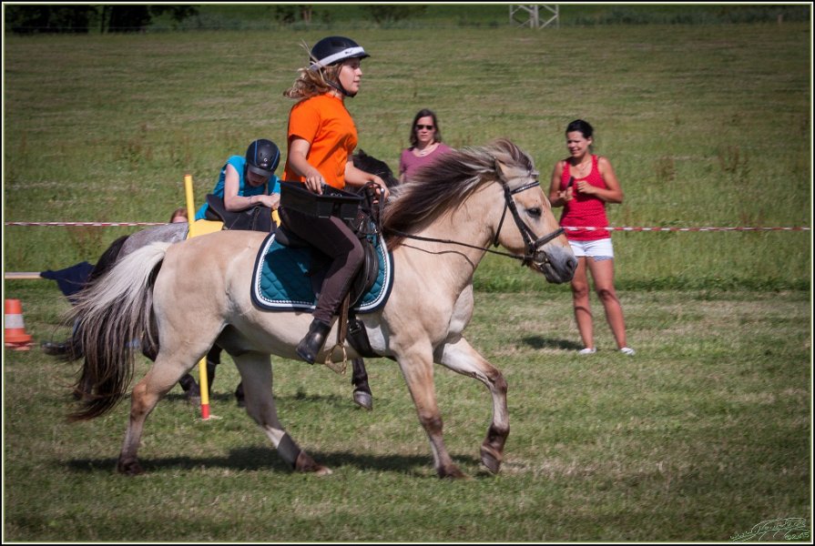 Mounted Games 314
